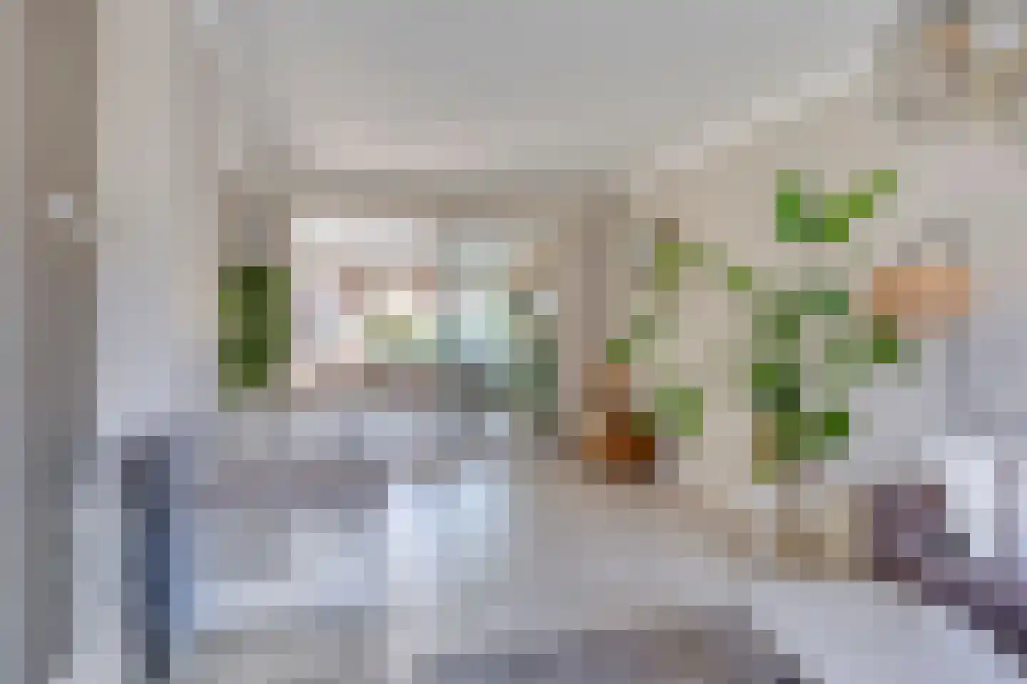 Prelaat van Dinterstraat 53 Gemert thumbnail 6