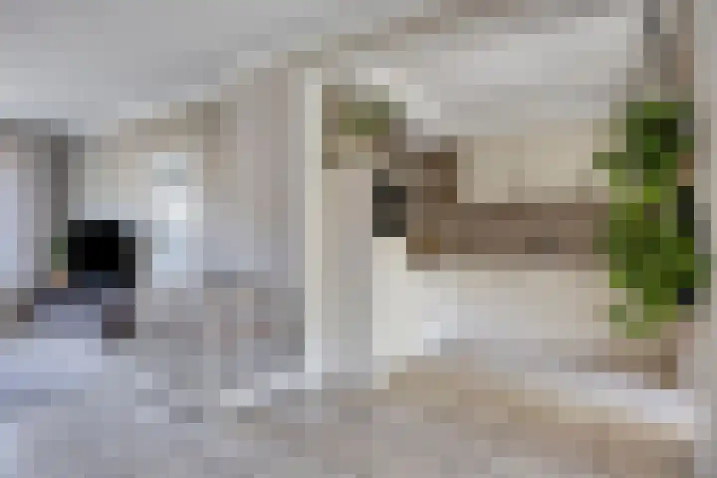 Prelaat van Dinterstraat 53 Gemert thumbnail 7