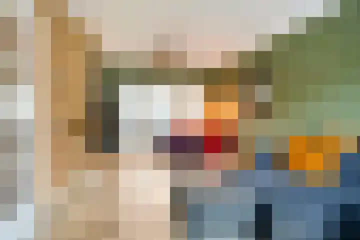 Prelaat van Dinterstraat 64 Gemert thumbnail 15