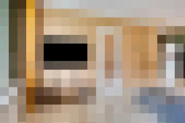 Prelaat van Dinterstraat 64 Gemert thumbnail 16