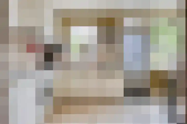 Prelaat van Dinterstraat 64 Gemert thumbnail 19