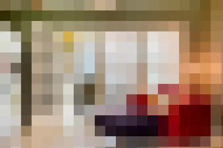 Prelaat van Dinterstraat 64 Gemert thumbnail 21