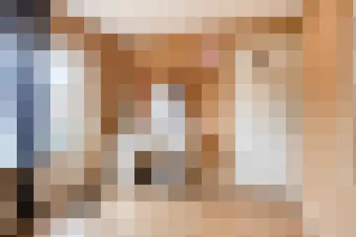 Prelaat van Dinterstraat 64 Gemert thumbnail 30