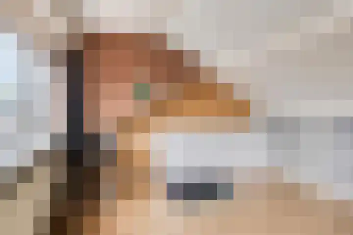 Prelaat van Dinterstraat 64 Gemert thumbnail 31