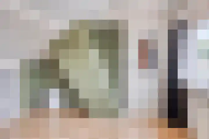 Prelaat van Dinterstraat 64 Gemert thumbnail 32
