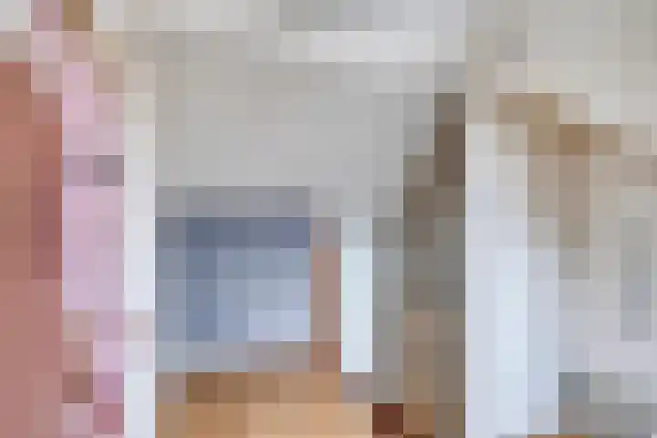 Prelaat van Dinterstraat 64 Gemert thumbnail 33