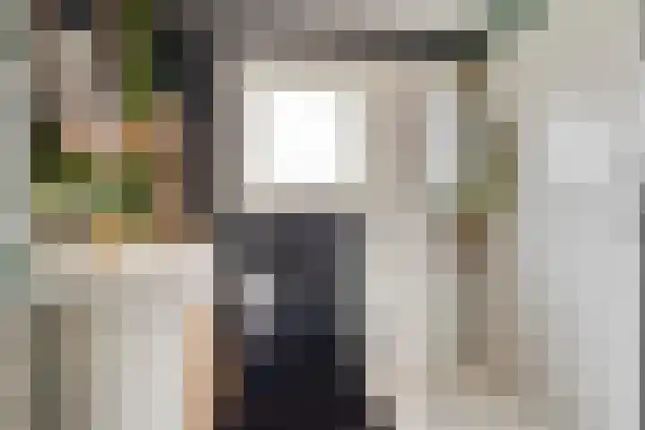 Prelaat van Dinterstraat 64 Gemert thumbnail 35