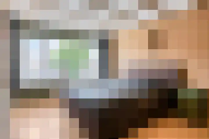 Prelaat van Dinterstraat 64 Gemert thumbnail 4