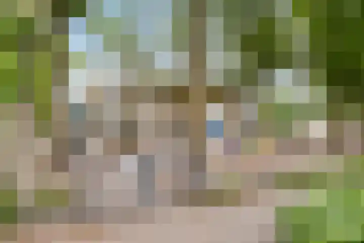 Prelaat van Dinterstraat 64 Gemert thumbnail 42