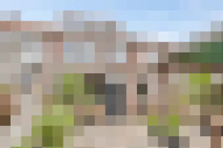 Prelaat van Dinterstraat 64 Gemert thumbnail 5