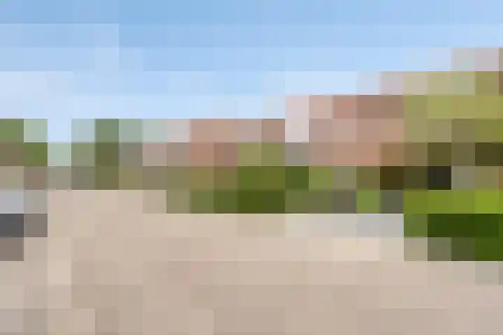 Prelaat van Dinterstraat 64 Gemert thumbnail 6