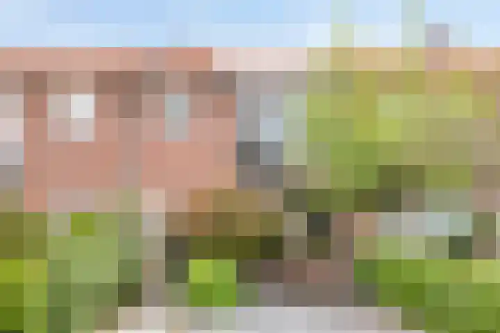 Prelaat van Dinterstraat 64 Gemert thumbnail 7