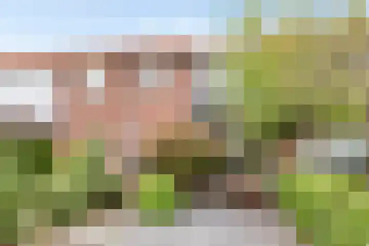 Prelaat van Dinterstraat 64 Gemert thumbnail 9