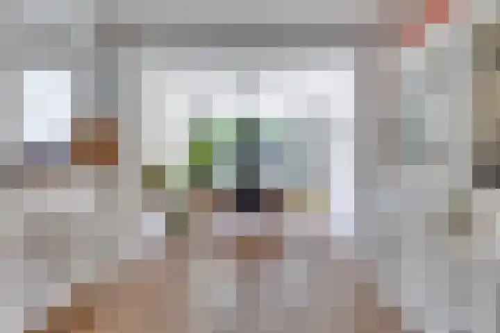Prelaat van Dinterstraat 69 Gemert thumbnail 12