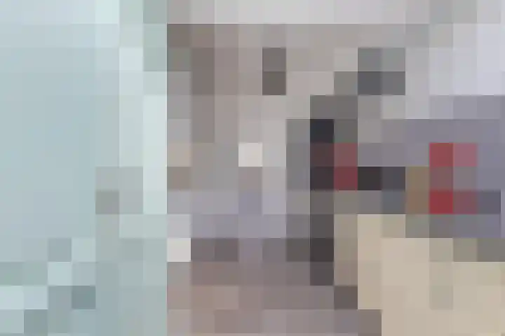 Prelaat van Dinterstraat 69 Gemert thumbnail 14