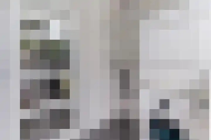 Prelaat van Dinterstraat 69 Gemert thumbnail 16