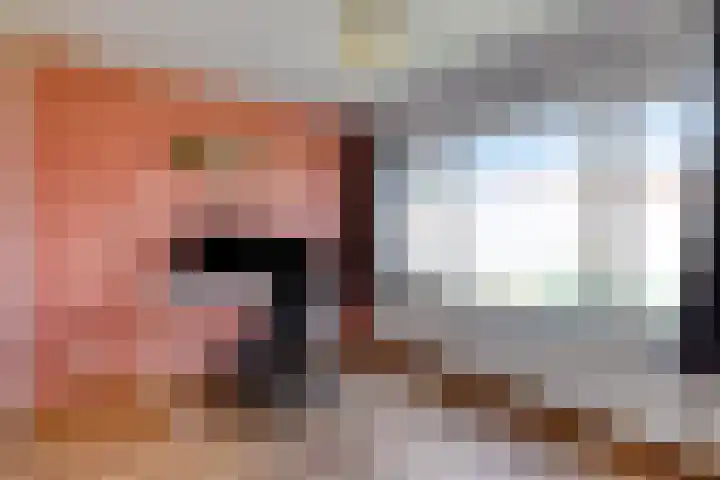 Prelaat van Dinterstraat 69 Gemert thumbnail 20