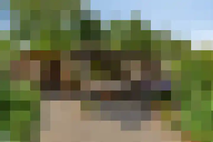 Prelaat van Dinterstraat 69 Gemert thumbnail 22