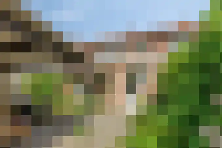 Prelaat van Dinterstraat 69 Gemert thumbnail 23