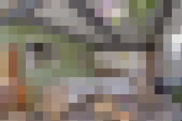 Prelaat van Dinterstraat 69 Gemert thumbnail 24