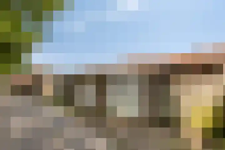 Prelaat van Dinterstraat 69 Gemert thumbnail 25