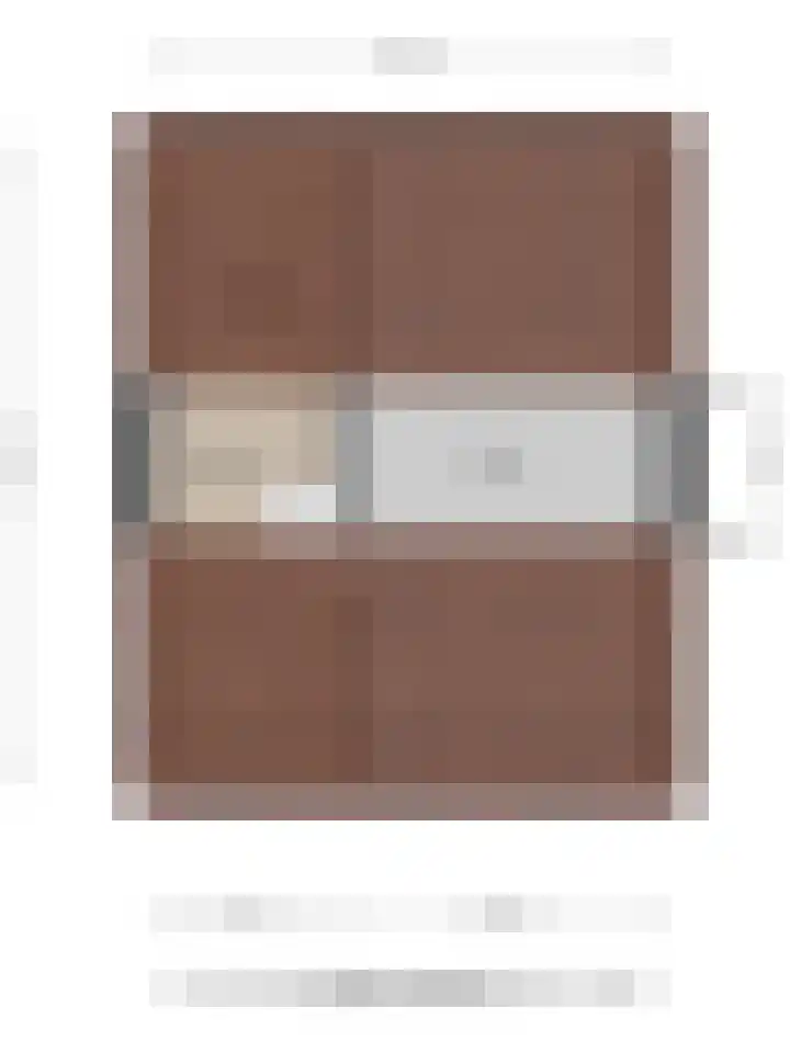 Prelaat van Dinterstraat 69 Gemert thumbnail 31