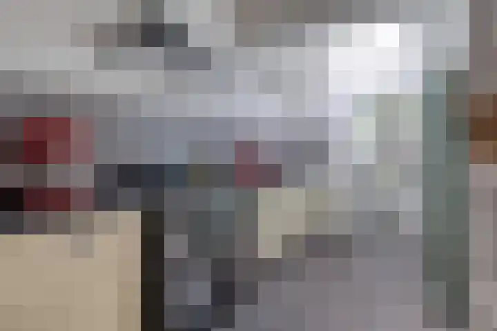 Prelaat van Dinterstraat 69 Gemert thumbnail 4