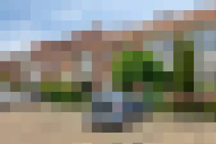 Prelaat van Dinterstraat 69 Gemert thumbnail 8