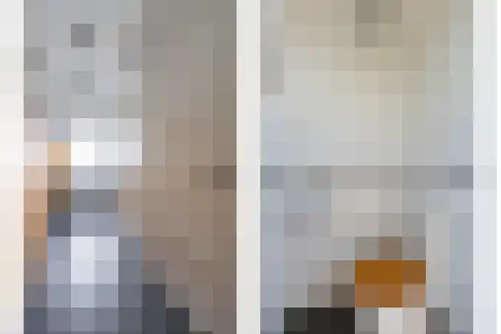 Prelaat van Dinterstraat 69 Gemert thumbnail 9