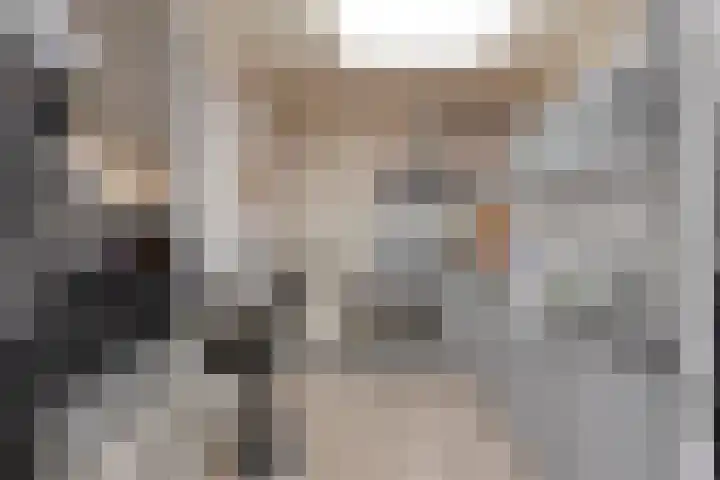 Prelaat van Dinterstraat 75 Gemert thumbnail 14