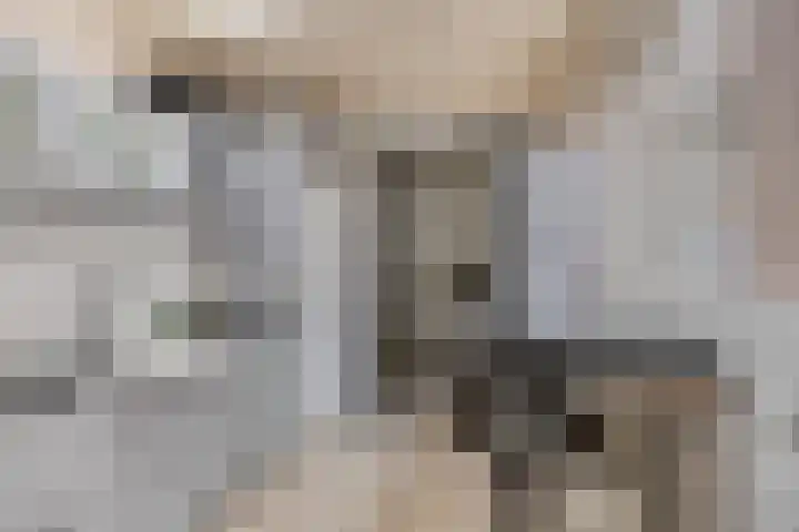 Prelaat van Dinterstraat 75 Gemert thumbnail 15