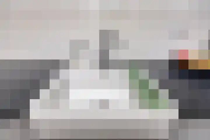 Prelaat van Dinterstraat 75 Gemert thumbnail 16