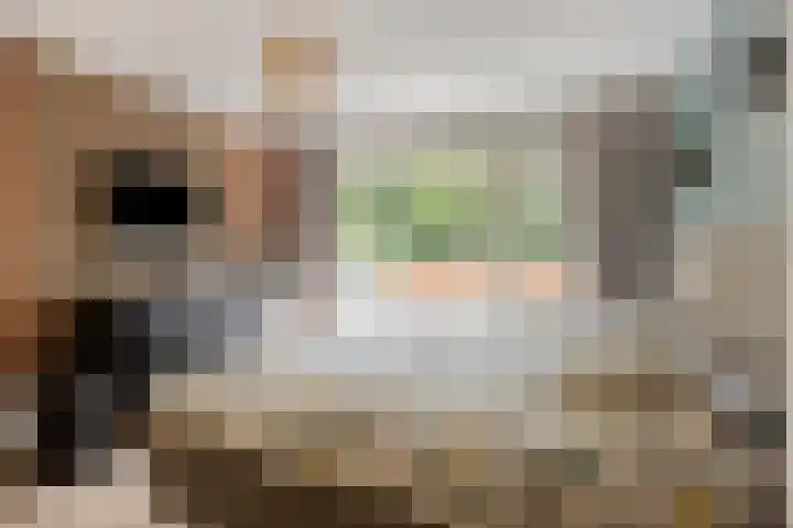 Prelaat van Dinterstraat 75 Gemert thumbnail 19