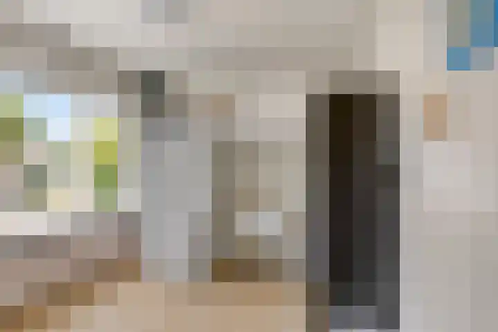 Prelaat van Dinterstraat 75 Gemert thumbnail 21