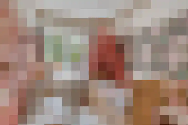 Prelaat van Dinterstraat 75 Gemert thumbnail 23