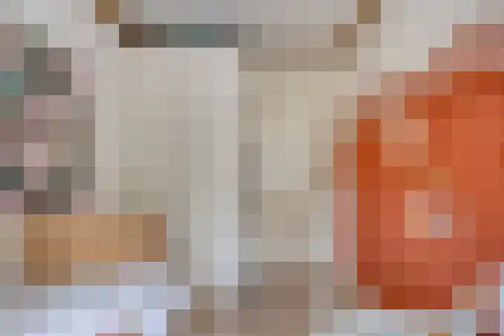 Prelaat van Dinterstraat 75 Gemert thumbnail 24