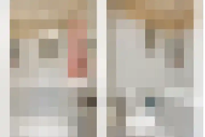 Prelaat van Dinterstraat 75 Gemert thumbnail 25