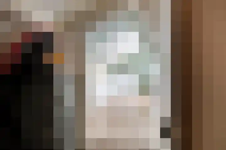 Prelaat van Dinterstraat 75 Gemert thumbnail 26