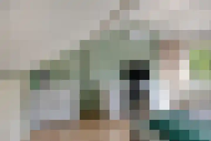 Prelaat van Dinterstraat 75 Gemert thumbnail 27