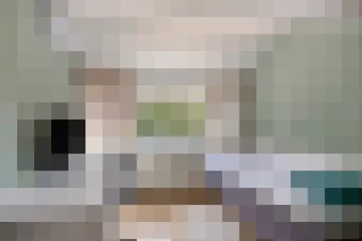 Prelaat van Dinterstraat 75 Gemert thumbnail 28