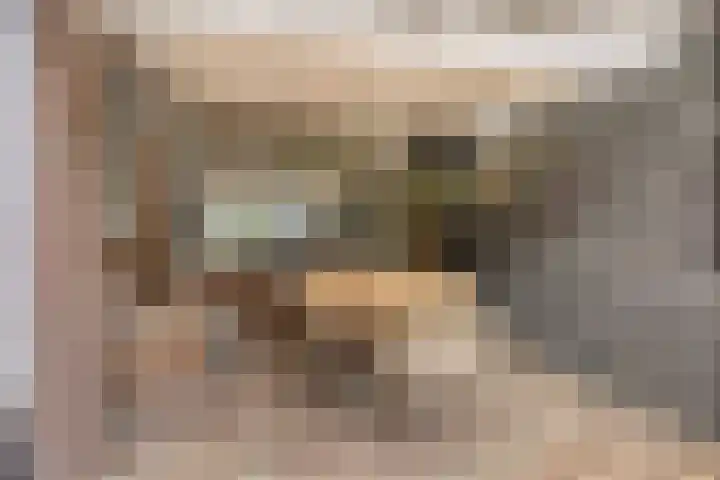 Prelaat van Dinterstraat 75 Gemert thumbnail 29