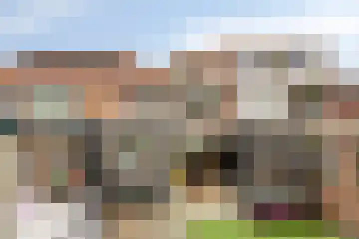 Prelaat van Dinterstraat 75 Gemert thumbnail 31