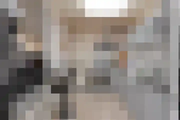 Prelaat van Dinterstraat 75 Gemert thumbnail 4