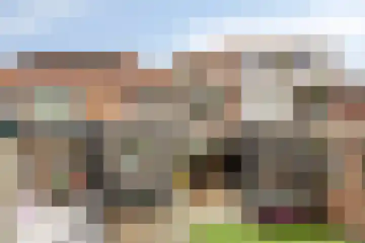 Prelaat van Dinterstraat 75 Gemert thumbnail 5