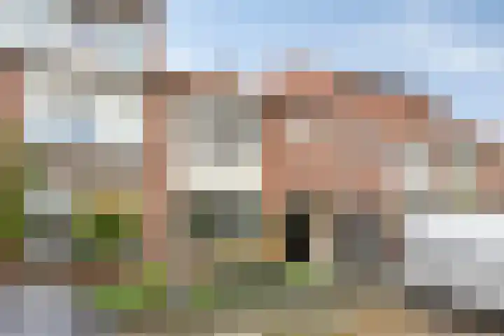 Prelaat van Dinterstraat 75 Gemert thumbnail 6