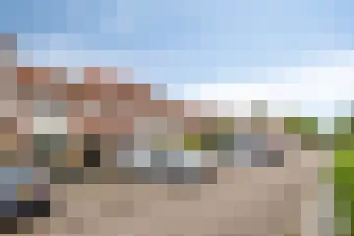Prelaat van Dinterstraat 75 Gemert thumbnail 7