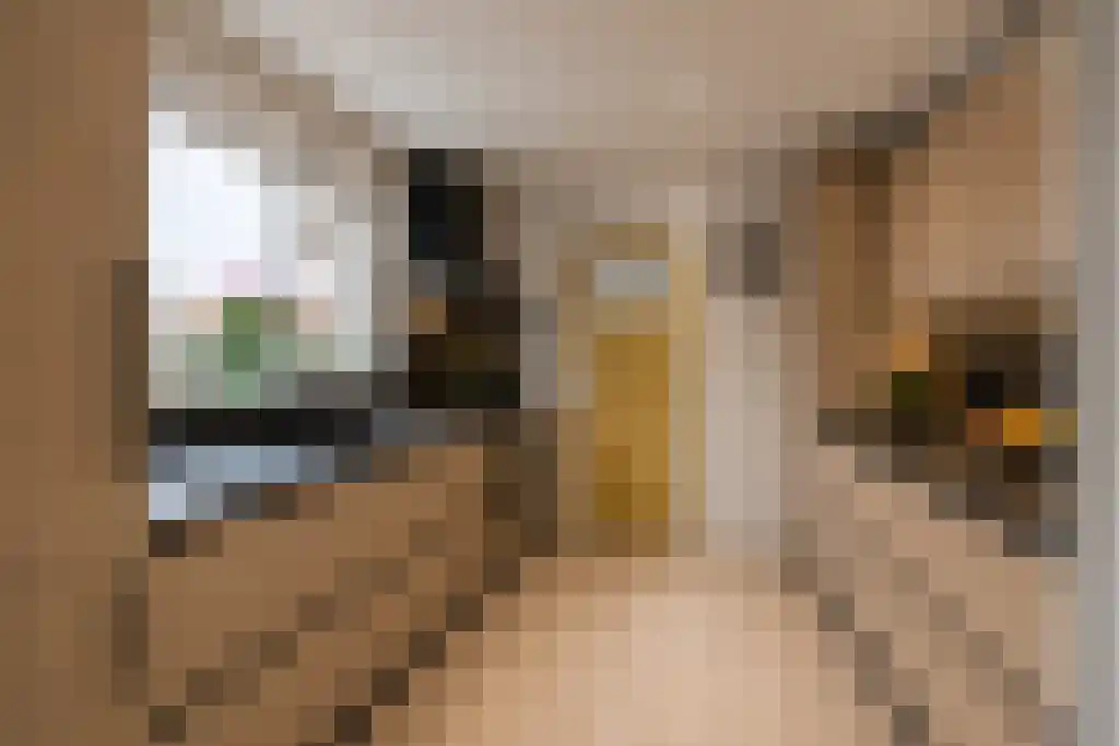 Prelaatweg 33 Aagtekerke thumbnail 14
