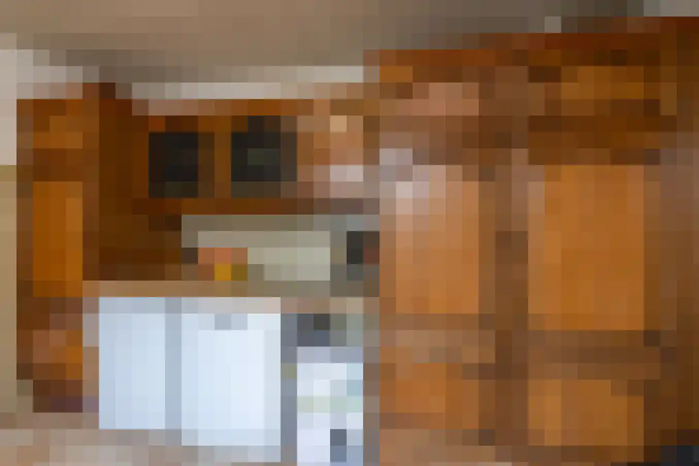 Prelaatweg 33 Aagtekerke thumbnail 15