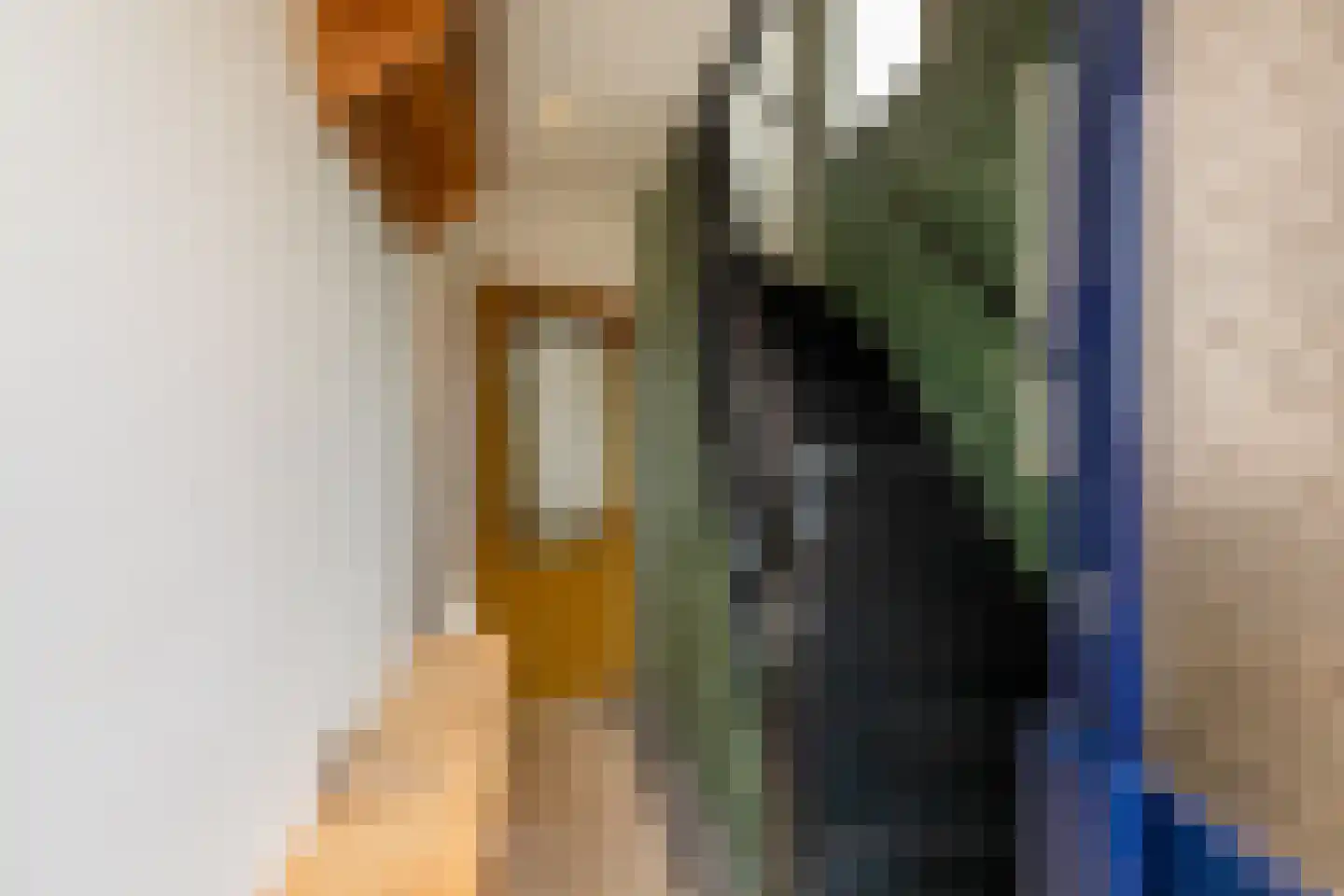 Prelaatweg 33 Aagtekerke thumbnail 18