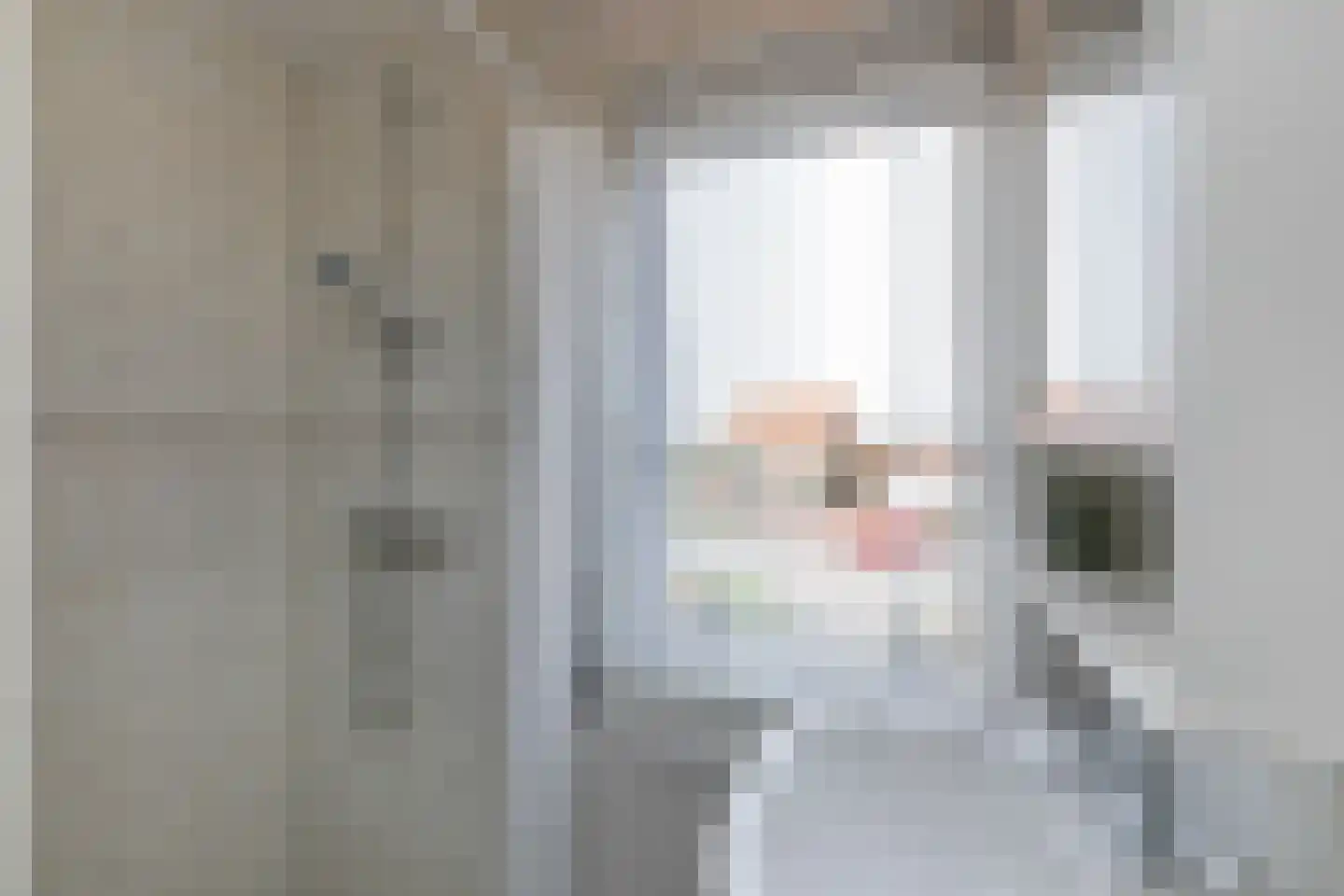 Prelaatweg 33 Aagtekerke thumbnail 26